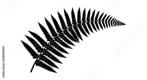 Quadro su tela Fern frond silhouette against a white background a botanical illustration