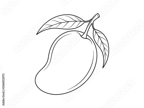 Elegant black and white line drawing of a swan.