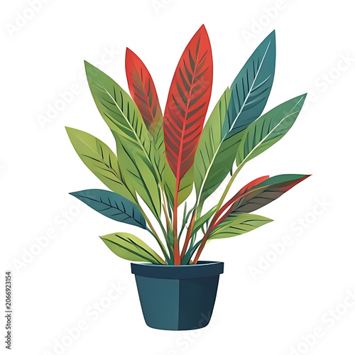Colorful tropical plant with red green and blue leaves in blue pot.