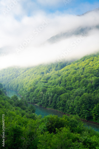 Elevated view of the turquoise Drina River winding through a lush forested valley near Foca, Bosnia and Herzegovina. Low clouds and mist cover the green mountain slopes.