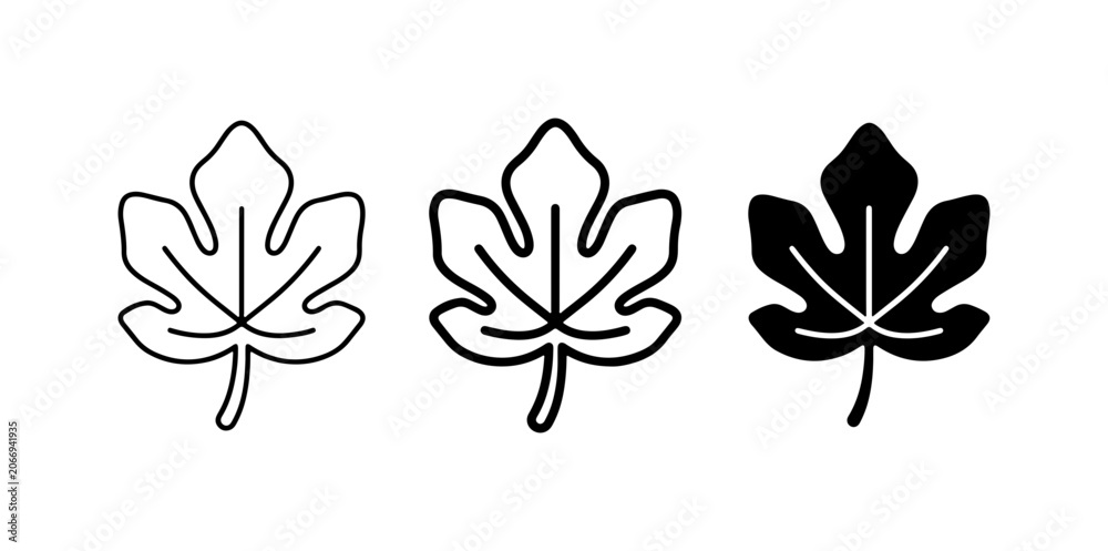 Obraz premium Fig Leaf Icons, Vector Set: Outline, Line Art, Solid Fill Styles