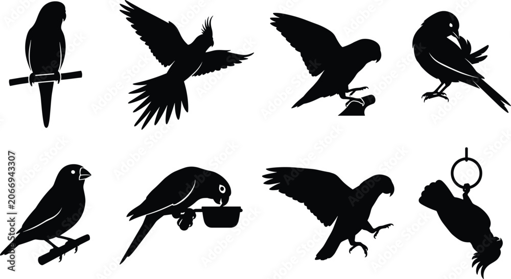 Fototapeta premium Bird silhouette set with parrots and songbirds in flying, perching, and feeding poses