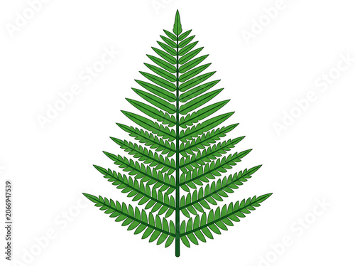 Close-up of a vibrant green pine tree branch.
