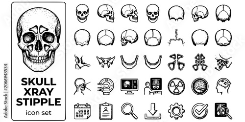Fotografie Skull X-Ray Stipple Black White-Cranial Bone Sinus Cavity Temporal-Head Imaging