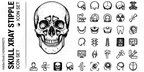 Obraz na płótnie Skull X-Ray Stipple Black White-Cranial Bone Sinus Cavity Temporal-Head Imaging