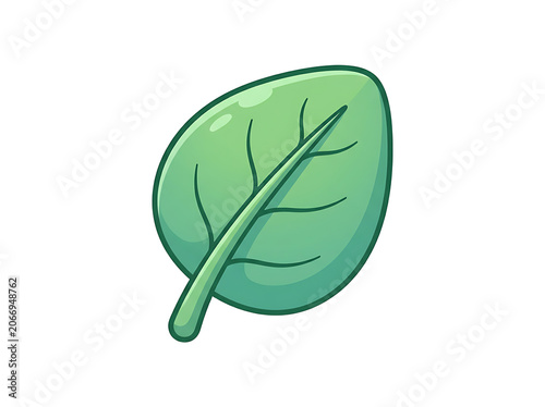 Fresh green lime fruit with leaf isolated on white.