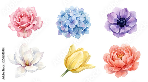 Set of beautiful watercolor flowers isolated on transparent background
