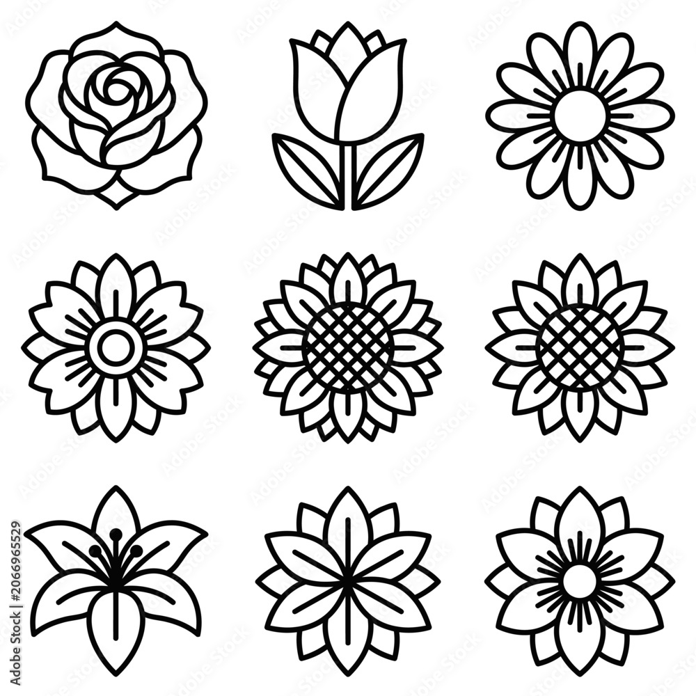 Fototapeta premium Collection of Hand Drawn Flower Illustrations.