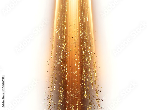 Golden wheat stalk with water droplets closeup.