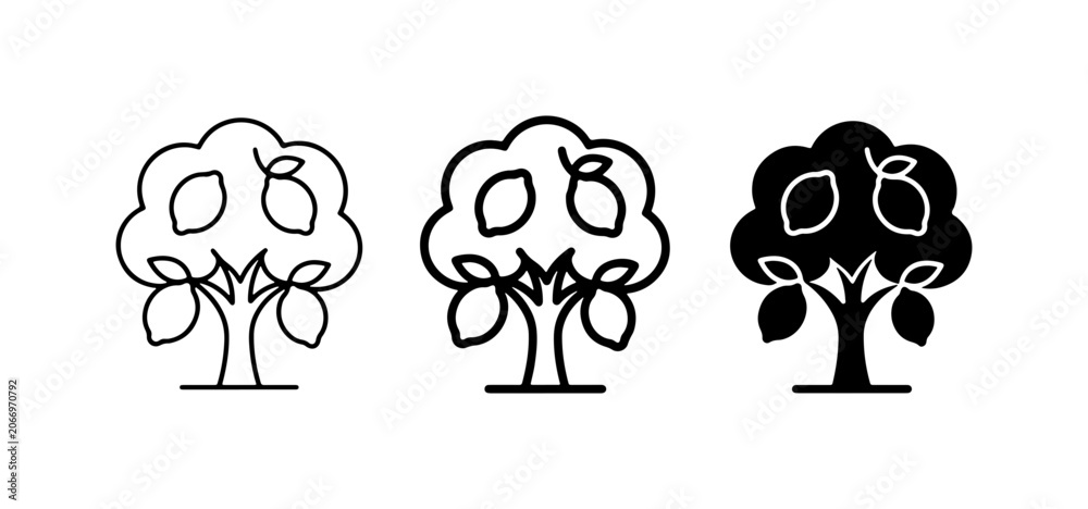 Obraz premium Lemon Tree Icons, Citrus Fruit Orchard Vector Graphics, Simple Outline and Silhouette Styles