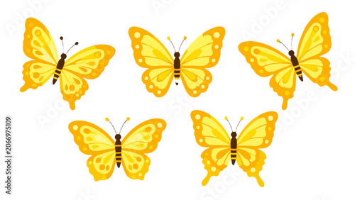 Obraz na płótnie Set of golden butterfly vector illustrations on white