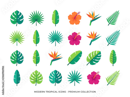 Stylized Tropical Leaf Icon on White Background