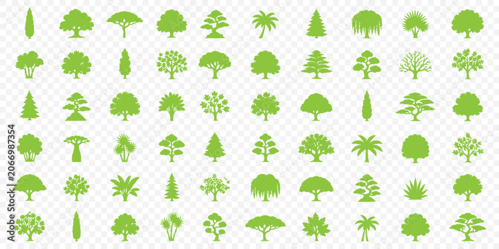 Fototapeta premium Minimal pine spruce tree silhouette vector set forest nature infographic icons. Tree and plant silhouette vector set with palm pine bush and botanical elements. Fir tree and pine tree vector icon set.