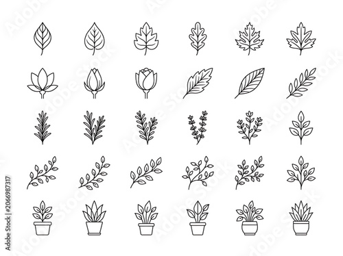 Botanical Outline Icons: Potted Plant and Branch with Leaves