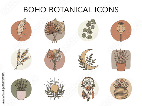 Boho Botanical Illustration of a Potted Plant with Abstract Circle Background