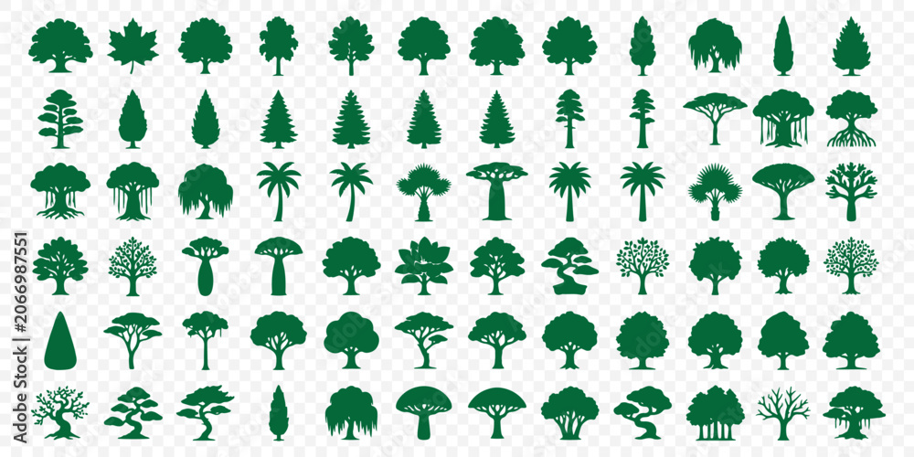 Fototapeta premium Collection of 60 diverse tree silhouettes with evergreen and deciduous forest trees. Set of tree silhouettes black icons featuring various pine fir and deciduous forest shapes isolated on a white