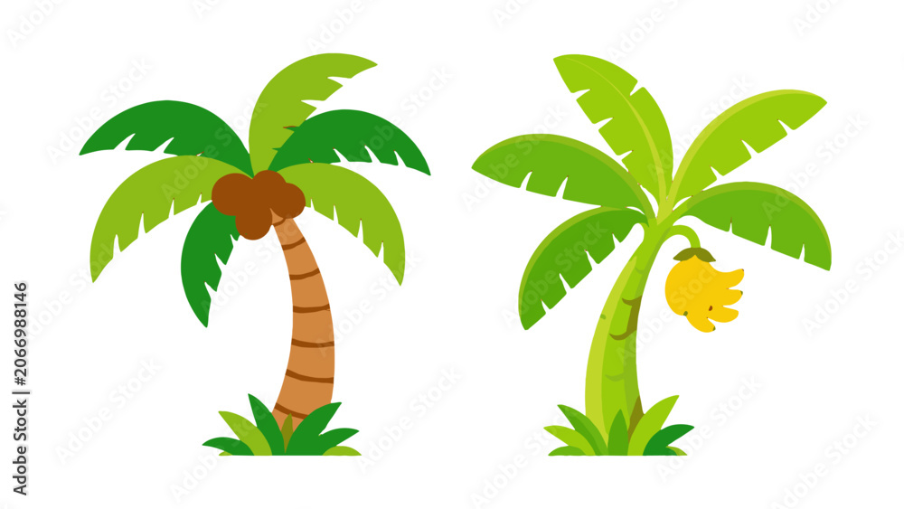 Obraz premium Cartoon coconut and banana palm trees isolated on white
