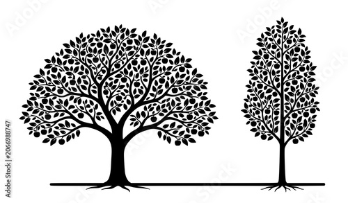 Canvastavla Round broadleaf tree and tall narrow ornamental tree silhouettes isolated on whi
