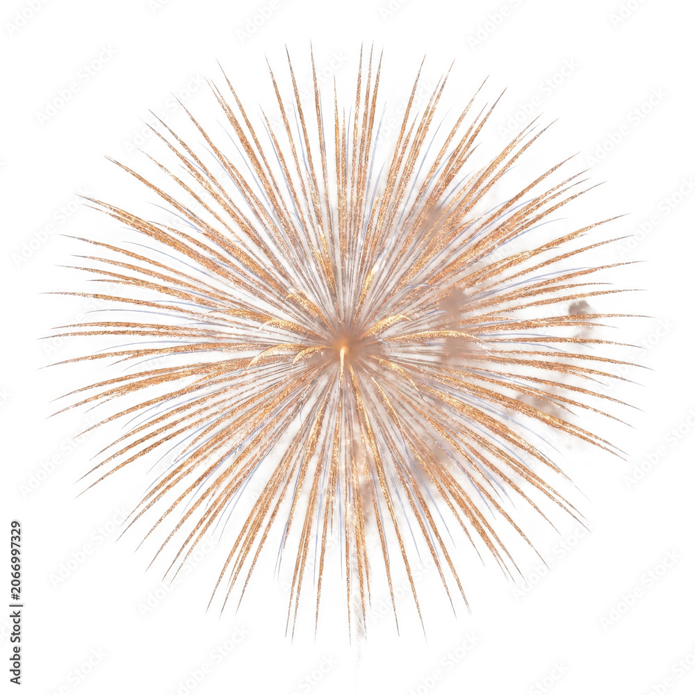 Fototapeta premium Golden firework explosion isolated on transparent background