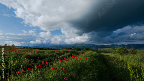 Red poppies bloom across a green meadow beneath dramatic storm clouds, with rolling hills and patches of blue sky in the distance.