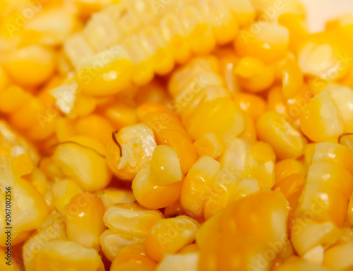 Close up of cooked corn.  boiled corn texture. detail of hot ready to eat corn. Details of cooked corn, ready for consumption.