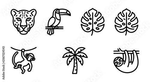Photography Jungle Icons Set: Jaguar, Toucan, Monkey, Sloth, Palm Tree, Tropical Leaves