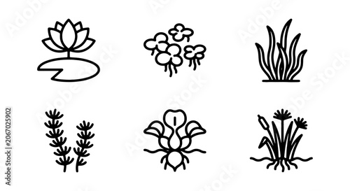 Billede på lærred Aquatic Plants Vector Icons Set, Water Lily, Algae, Reeds, Pond Flora Graphics