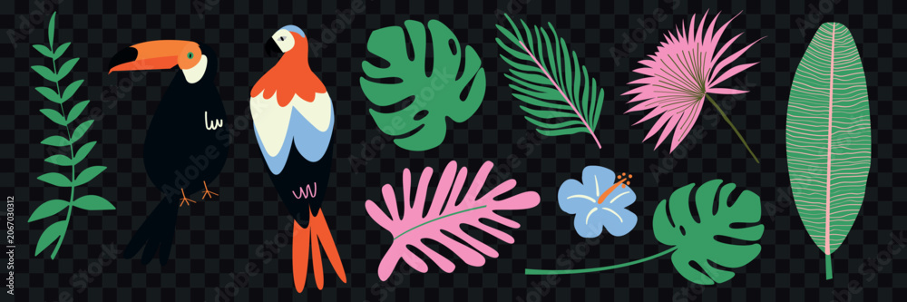 Obraz premium Vector illustration of tropical birds and leaves on a transparent background.