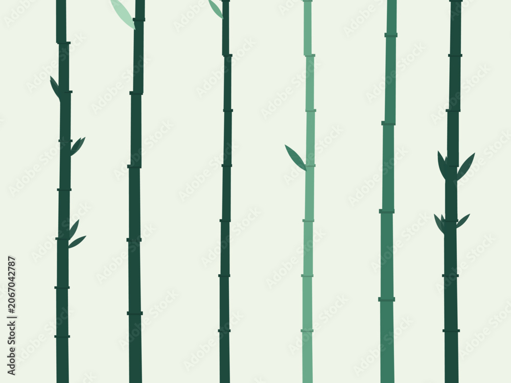 Fototapeta premium Bamboo Stalks Botanical Nature Background