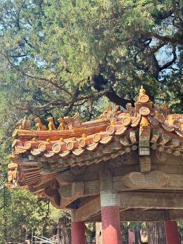 Traditional Pagoda Roof in Imperial Garden of the Forbidden City