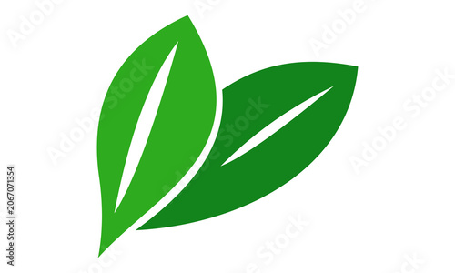green leaf icon vector design