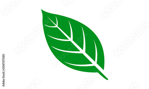 leaf simple icon vector logo