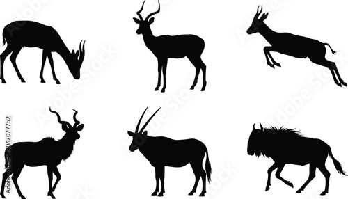 Photography African Antelope and Gazelle Silhouette Vector Icon Set Featuring Oryx Wildebees