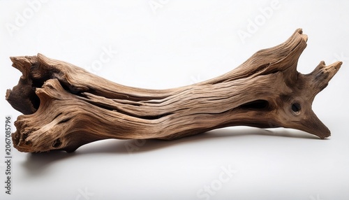 Isolated Piece Of Natural Weathered Driftwood On A Clean White For Aquarium Design