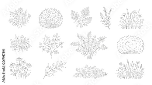 Vector botanical line art collection for CAD landscaping and garden architecture projects