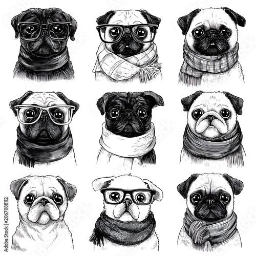 Hand-drawn collection of charming pug dogs wearing stylish glasses and cozy scarves