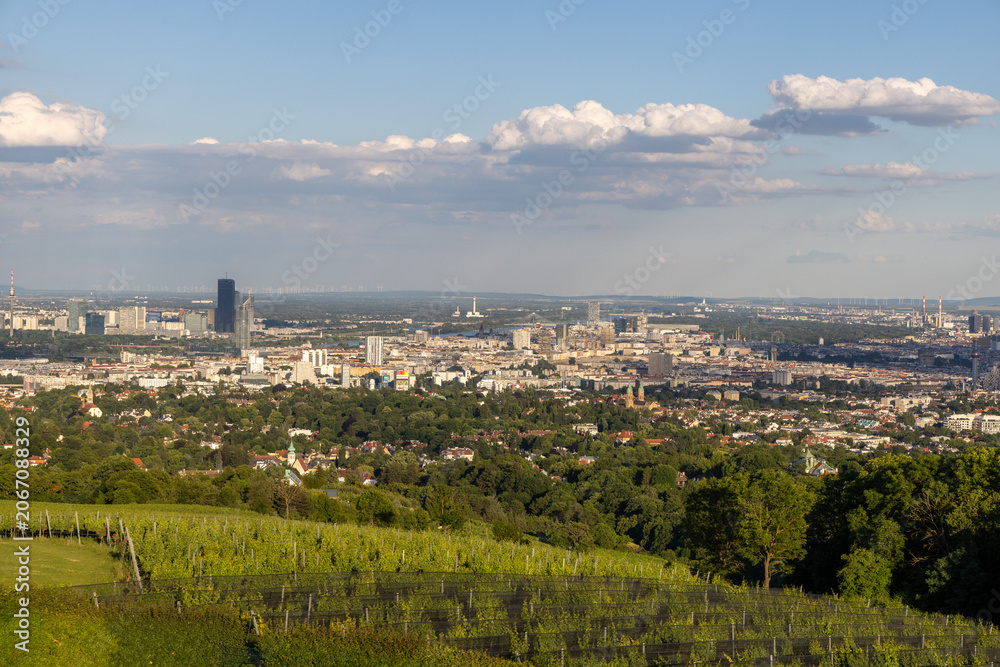 Fototapeta premium scenic panoramic skysline of Vienna