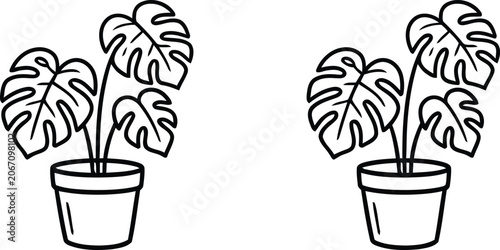 Foto minimalist line art potted monstera plants for decor