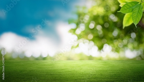 Blur Background Of Green Tree With Sky Bokeh Nature Light