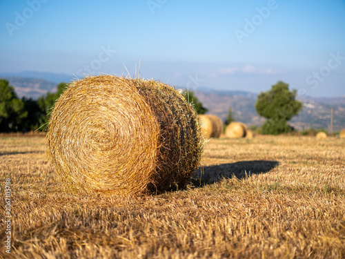 Round hay bales in harvested field with Troodos mountains in background, rural Cyprus