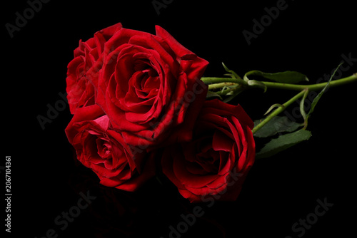 beautiful bouquet of flowers on dark background
