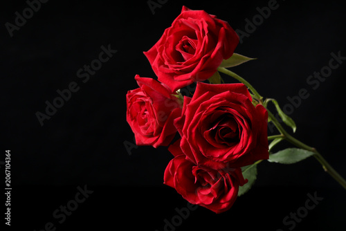 beautiful bouquet of flowers on dark background