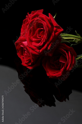 beautiful bouquet of flowers on dark background