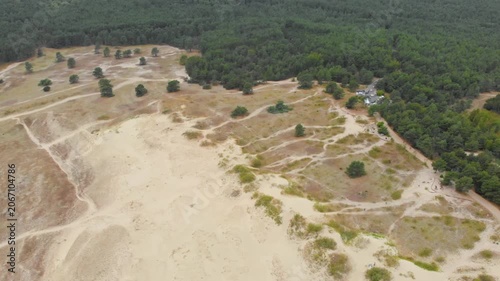 An aerial shot captures the stark contrast between a vast, sandy dune area, characteristic of inland drifting sand landscapes, and a dense, green pine forest. Winding paths crisscross the terrain, lea