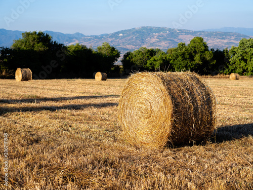 Round hay bales in harvested field with Troodos mountains in background, rural Cyprus