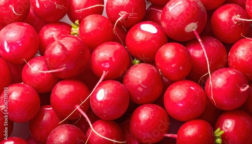 Fresh red radishes in a heap.