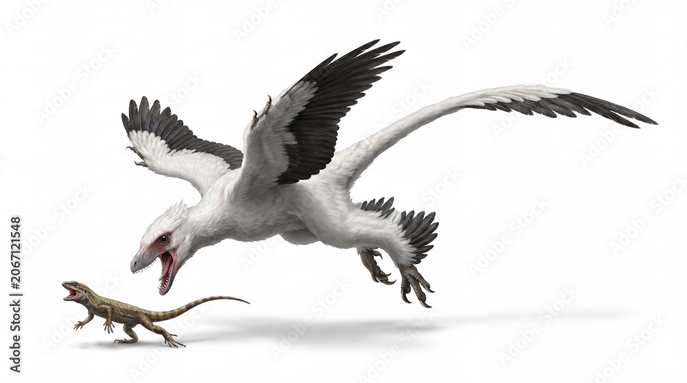 Obraz premium Microraptor zhaoianus capturing a small lizard, showing predatory behavior and accurate feathered anatomy in a detailed scientific paleontological reconstruction isolated on white background