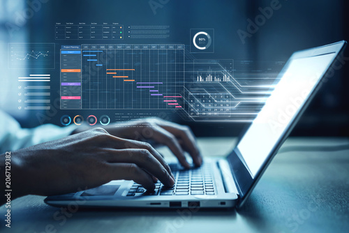 Slika na platnu A project management dashboard for business