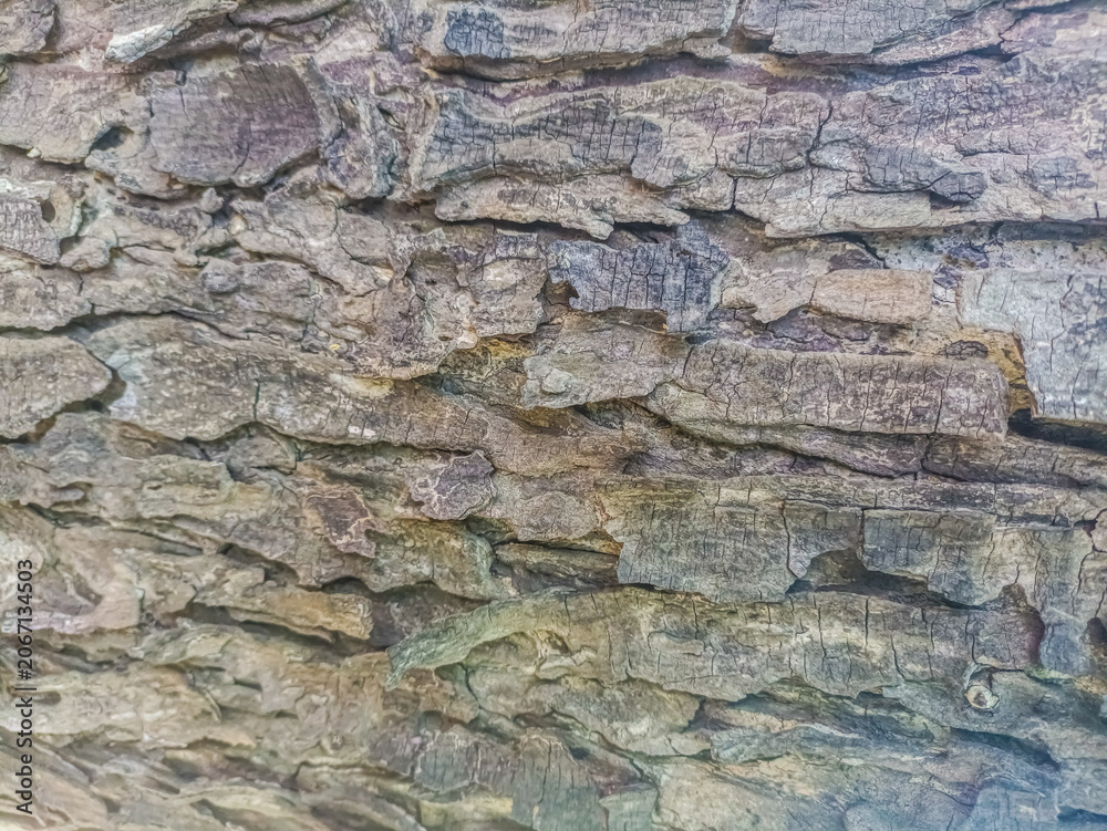 Fototapeta premium stone wall texture