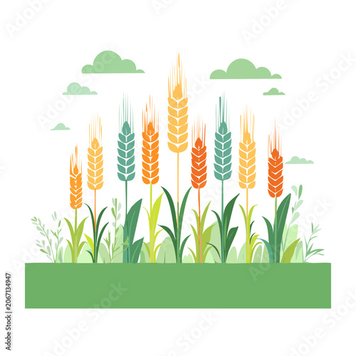 Flat Design Illustration of Wheat Field with Green Grass and Clouds